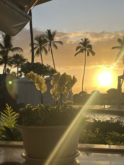 Tropical orchids and Hawaiian blooms at a Maui resort at golden hour